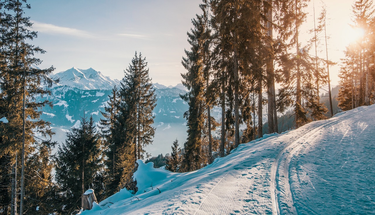 Góry Sowie – raj dla sportów zimowych: informacje o trasach, infrastrukturze i atrakcjach dla miłośników zimowych wycieczek